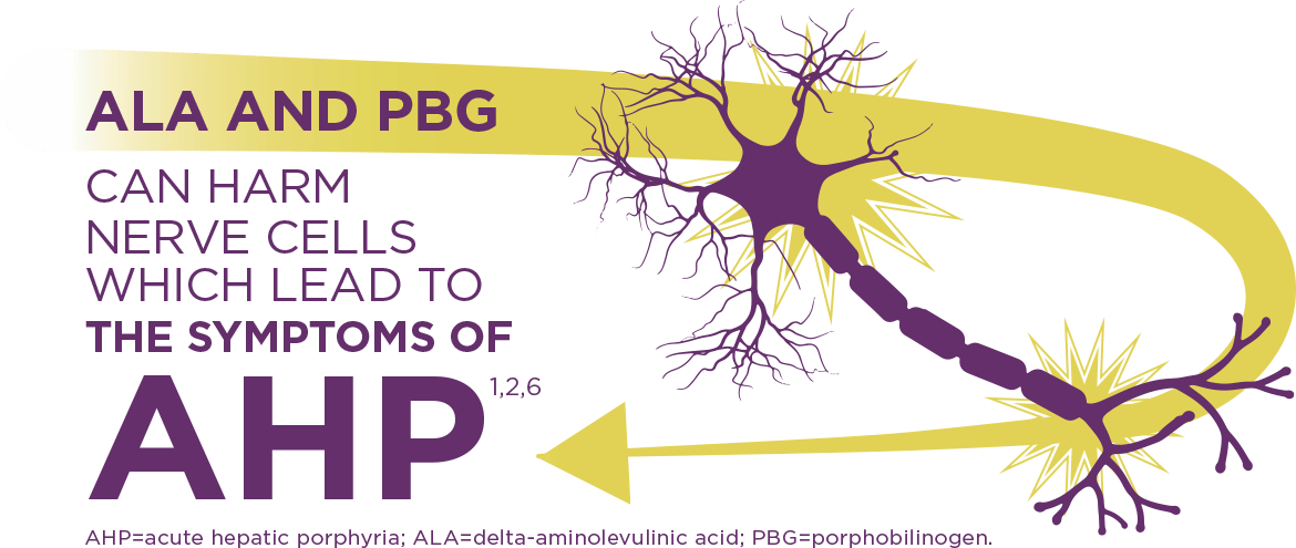 Acute hepatic porphyria is caused by a build-up of neurotoxic intermediates, ALA & PBG, in the liver