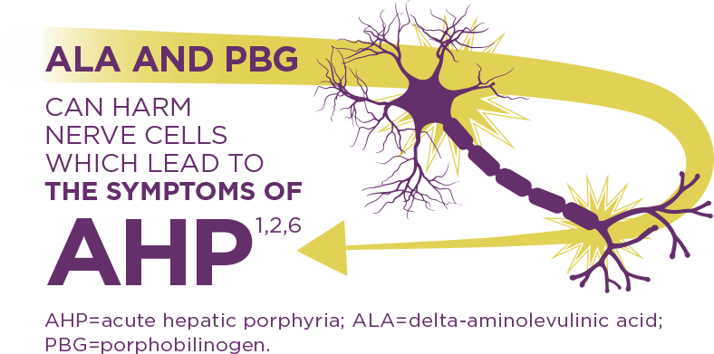 Acute hepatic porphyria is caused by a build-up of neurotoxic intermediates, ALA & PBG, in the liver