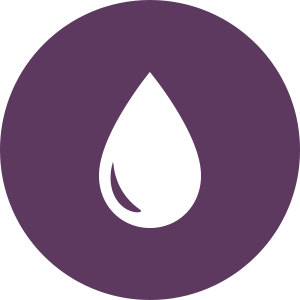 Hormonal fluctuations during the menstrual cycle can trigger acute hepatic porphyria attacks