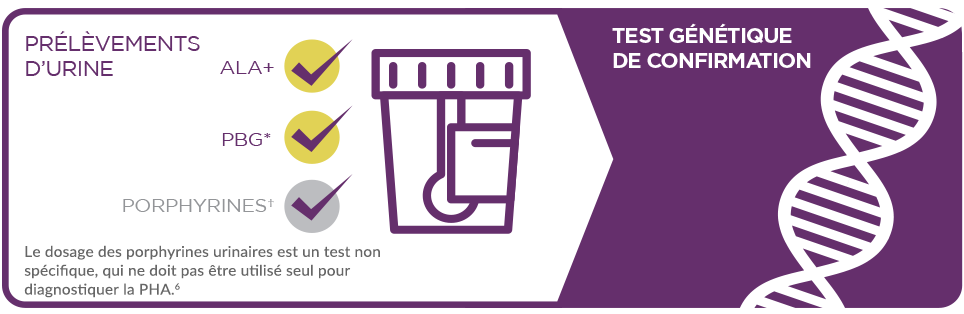 Prélèvements d’urine et confirmation génétique