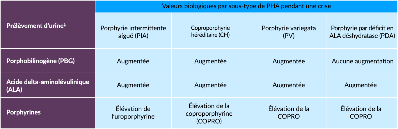 Dépistage de la PHA : valeurs biologiques pour les prélèvements d’urine